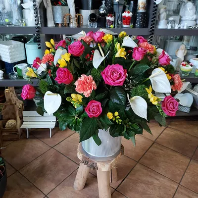 KWIACIARNIA CATTLEYA